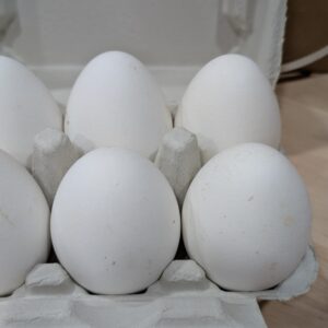 Goose Eggs